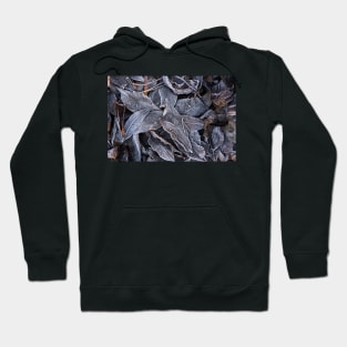 Winter Leaf Litter #1 Hoodie